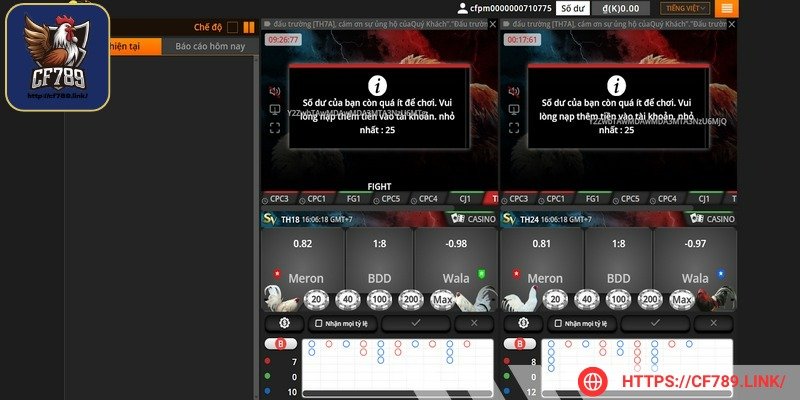 Trang web liên tục update nhiều trận đá gà đặc sắc thưởng lớn
