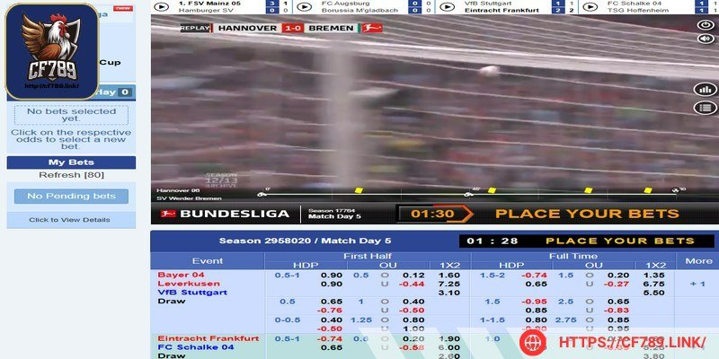 Có nhiều dạng cá độ thể thao thú vị được CF789 cung cấp
