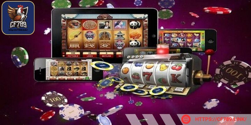 Web mong muốn trở thành kiểu mẫu về cá cược uy tín