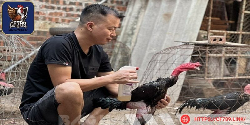 Kiểm tra sức khoẻ là điều tối quan trọng trong các bước