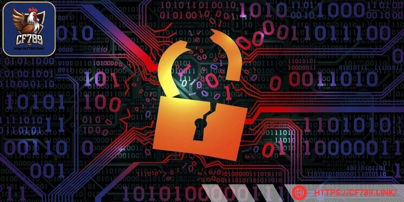 Dữ liệu liên lạc của người chơi chỉ được sử dụng để gửi thông báo