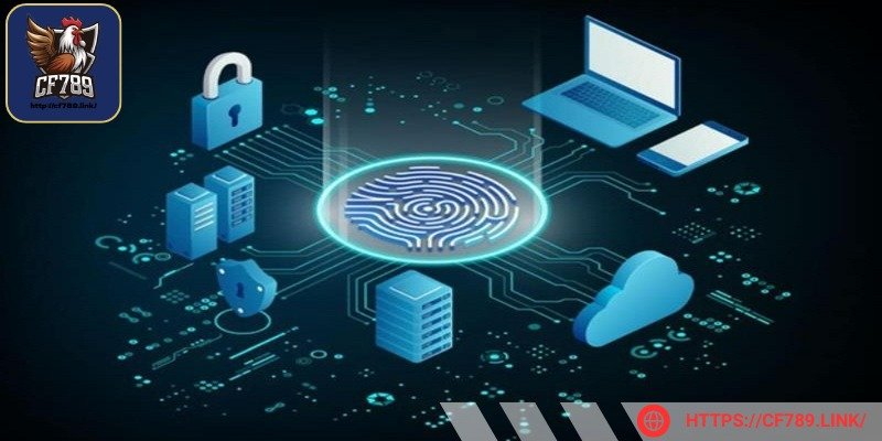 Khách hàng cần tham gia cá cược qua các nền tảng an toàn