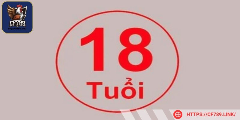 Người chơi phải đủ 18 tuổi