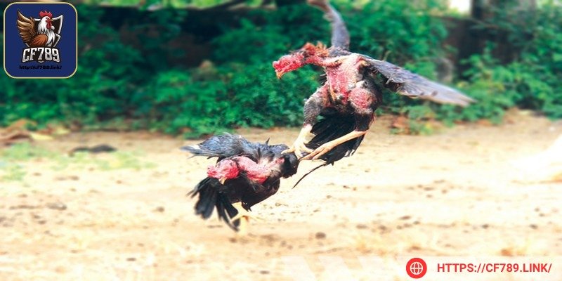 Những tác động bằng chân cần luyện tập lâu dài