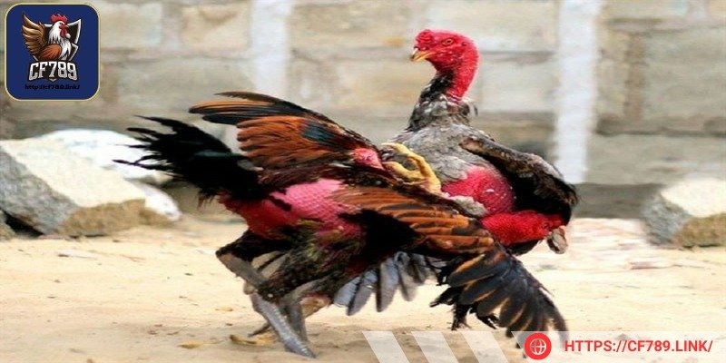 Tập trung thẳng vào yết hầu, cổ họng vô cùng nguy hiểm